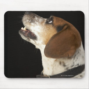 Alfombrilla De Ratón Perro del beagle con perfil negro del cuello