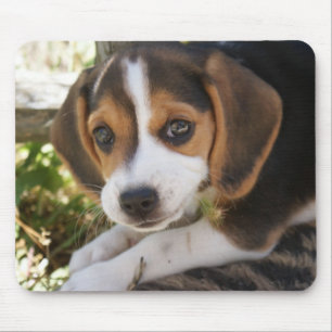 Alfombrilla De Ratón Perro del bebé del beagle