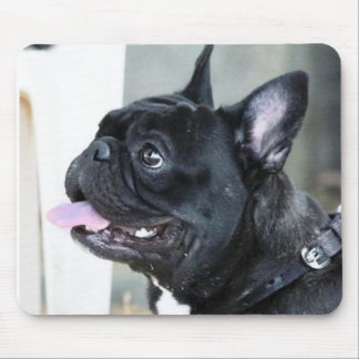 Alfombrilla De Ratón Perro del bulldog francés