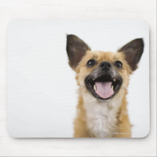 Alfombrilla De Ratón Perro del jadeo