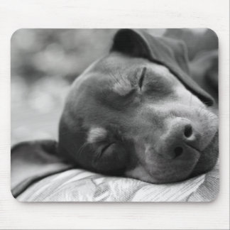 Alfombrilla De Ratón Perro del Pinscher miniatura el dormir