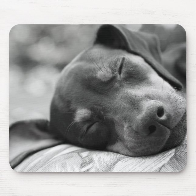 Alfombrilla De Ratón Perro del Pinscher miniatura el dormir (Frente)