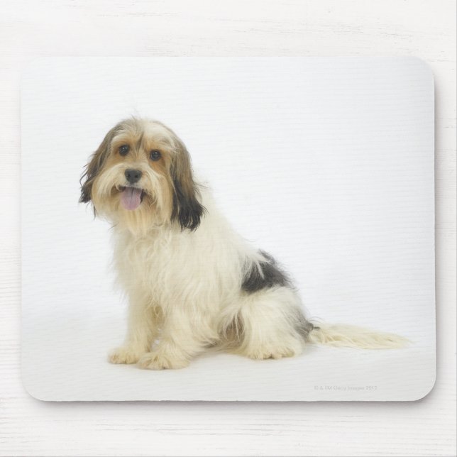 Alfombrilla De Ratón Perro en blanco 104 (Frente)