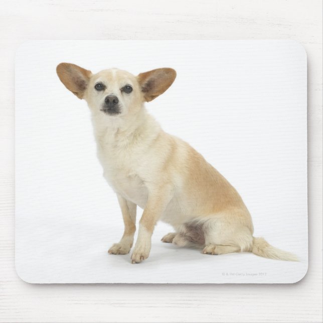 Alfombrilla De Ratón Perro en blanco 13 (Frente)