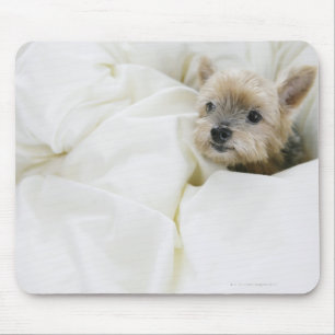Alfombrilla De Ratón Perro en cama