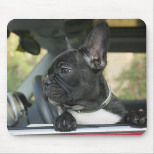 Alfombrilla De Ratón Perro en coche