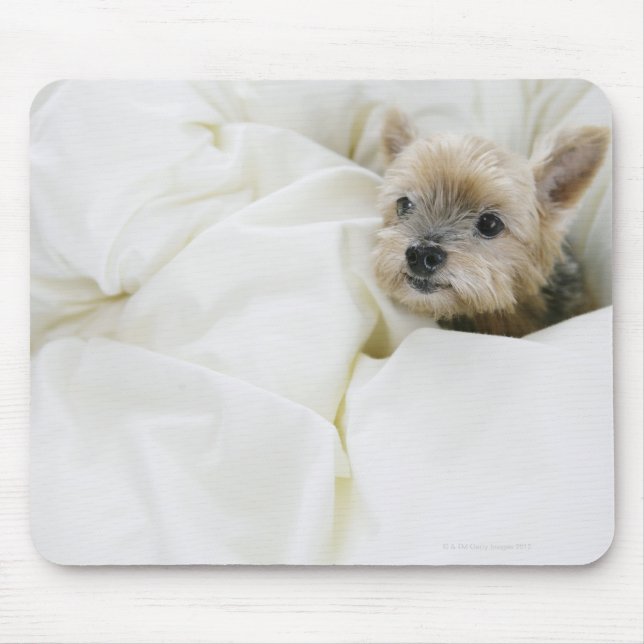 Alfombrilla De Ratón Perro en la cama (Frente)