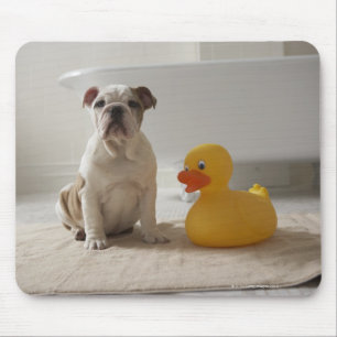 Alfombrilla De Ratón Perro en la estera con el pato plástico