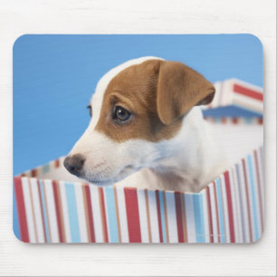 Alfombrilla De Ratón Perro en una caja de regalos