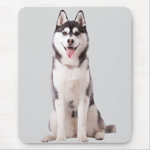 Alfombrilla De Ratón Perro Husky Siberiano