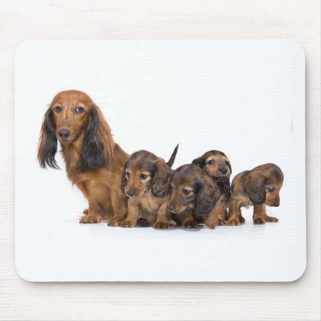 Alfombrilla De Ratón Perro lindo con los perritos (Frente)