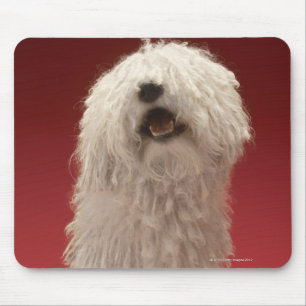 Alfombrilla De Ratón Perro lindo de Komondor