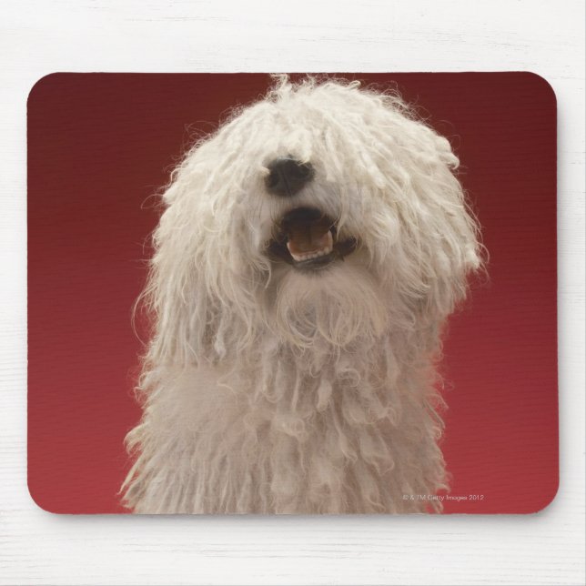 Alfombrilla De Ratón Perro lindo de Komondor (Frente)