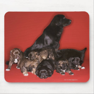 Alfombrilla De Ratón Perro madre con cachorros
