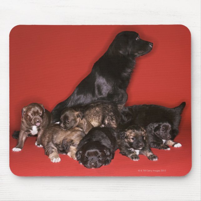 Alfombrilla De Ratón Perro madre con cachorros (Frente)