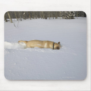 Alfombrilla De Ratón Perro madriguera en nieve