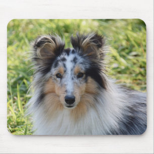 Alfombrilla De Ratón Perro Merle Shetland - Perro Sheltie