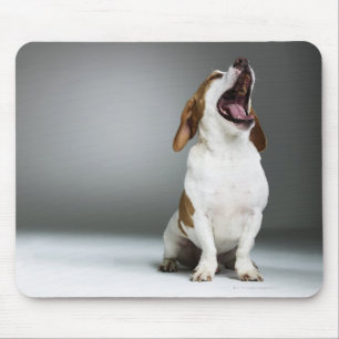 Alfombrilla De Ratón Perro mezclado que bosteza, primer de la raza