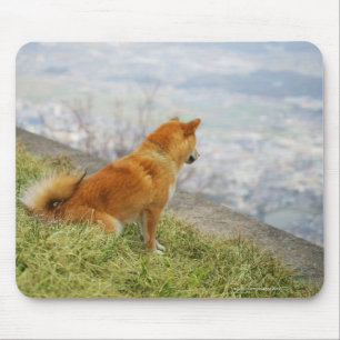 Alfombrilla De Ratón Perro mirando hacia abajo desde una colina