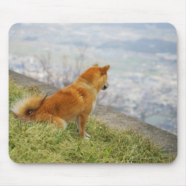 Alfombrilla De Ratón Perro mirando hacia abajo desde una colina (Frente)