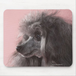 Alfombrilla De Ratón Perro mirando lejos