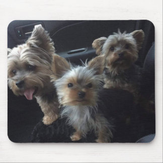 Alfombrilla De Ratón Perro Mousepad