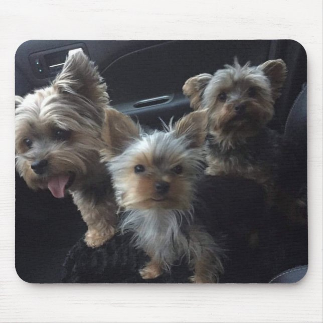 Alfombrilla De Ratón Perro Mousepad (Frente)