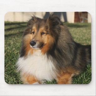 Alfombrilla De Ratón Perro Mousepad de Sheltie