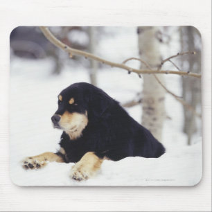 Alfombrilla De Ratón Perro negro que miente en nieve
