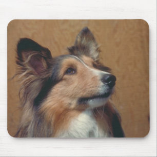 Alfombrilla De Ratón Perro pastor de Shetland