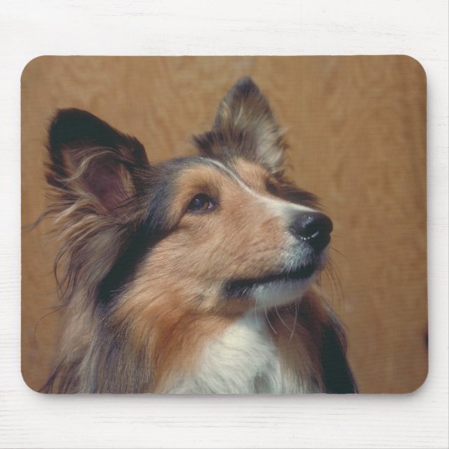 Alfombrilla De Ratón Perro pastor de Shetland (Frente)