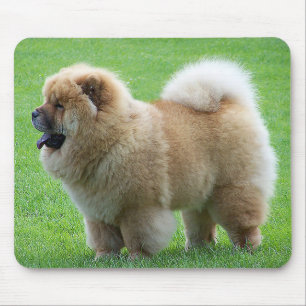 Alfombrilla De Ratón Perro picante Chow Perro Verde Mousepad