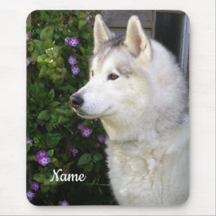 Alfombrilla De Ratón Perro picante Husky Siberiano
