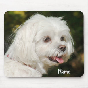 Alfombrilla De Ratón Perro picante maltés blanco personalizado