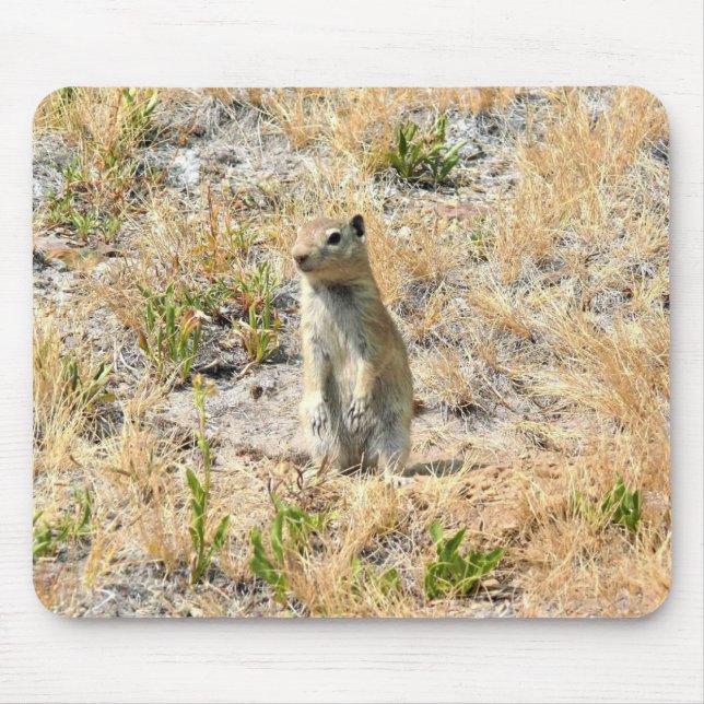 Alfombrilla De Ratón Perro Prairie en Yosemite, CA (Frente)