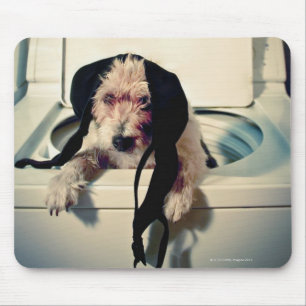 Alfombrilla De Ratón Perro que ayuda hacia fuera con el lavado