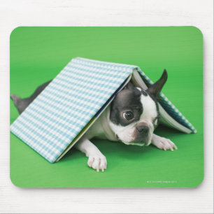 Alfombrilla De Ratón Perro que miente debajo del libro