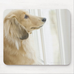 Alfombrilla De Ratón Perro que mira hacia fuera la ventana