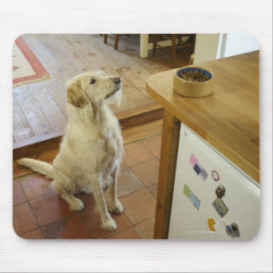 Alfombrilla De Ratón Perro que mira la comida en la tabla