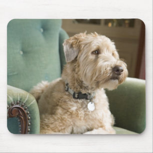 Alfombrilla De Ratón Perro que se sienta en butaca