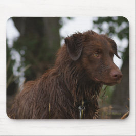 Alfombrilla De Ratón Perro rojo P2 Sam Flatlandersam