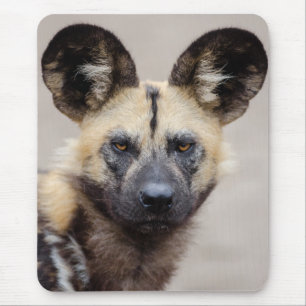Alfombrilla De Ratón Perro salvaje africano en peligro de extinción