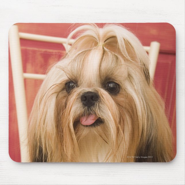 Alfombrilla De Ratón Perro Shih-tzu (Frente)