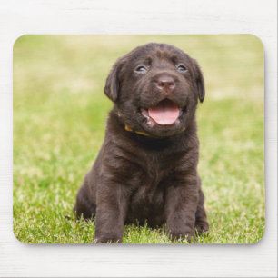 Alfombrilla De Ratón Perro suave del perrito