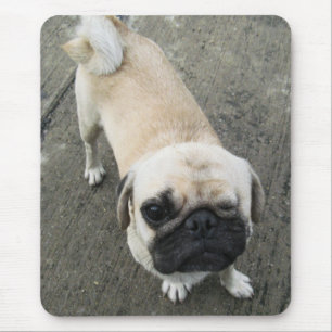 Alfombrilla De Ratón PERRO TAILANDÉS del BARRO AMASADO de Bauwk…