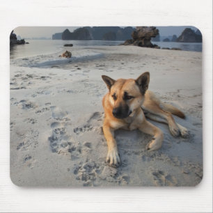 Alfombrilla De Ratón Perro tranquilo en la playa