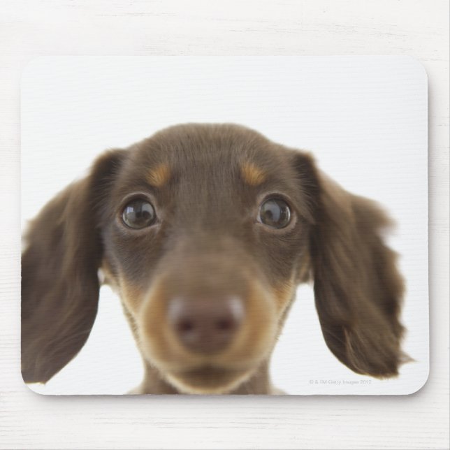 Alfombrilla De Ratón Perro Wiener (marrón) 2 (Frente)