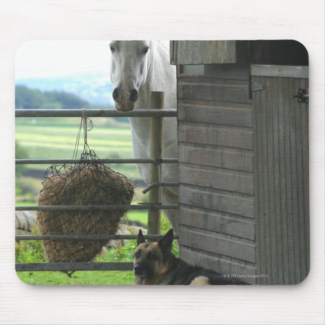 Alfombrilla De Ratón Perro y caballo en un rancho en Menton, Francia (Frente)