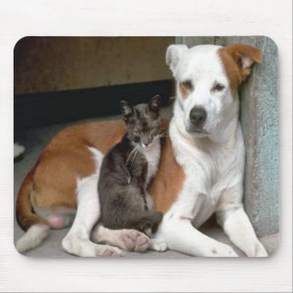 Alfombrilla De Ratón Perro y gato Mousepad