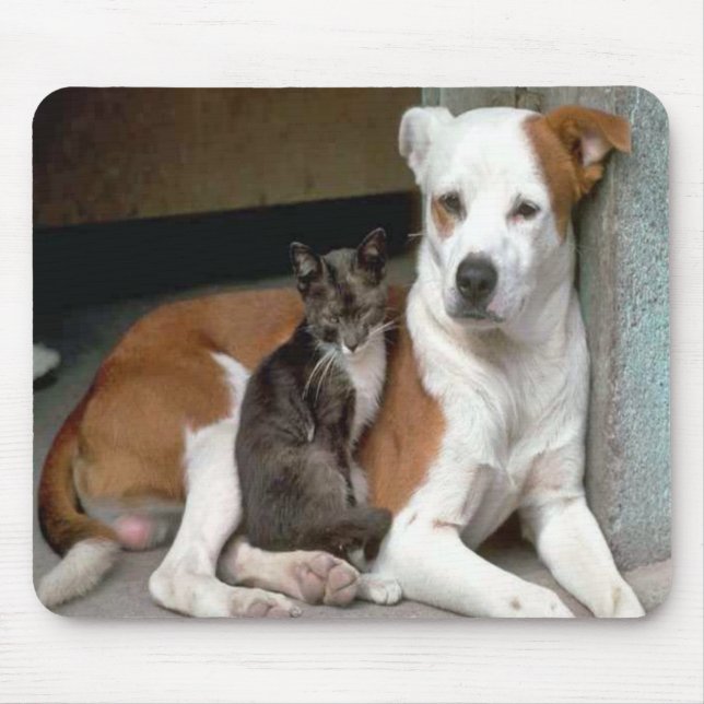 Alfombrilla De Ratón Perro y gato Mousepad (Frente)